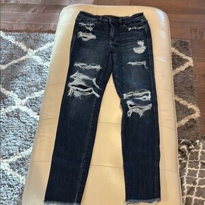 Flying Monkey Midrise Skinny Jeans